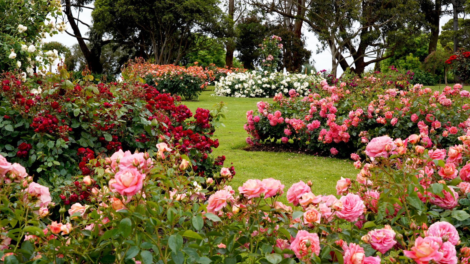 Oak and Stone Landscaping landscape gallery inspiration 6