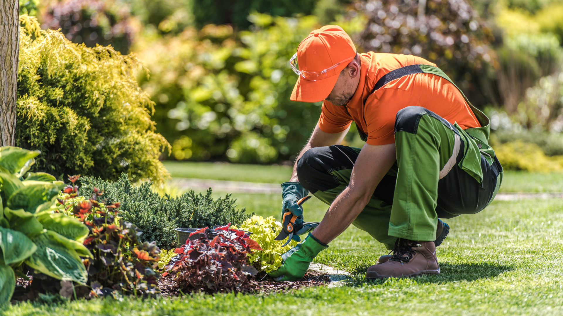 Seasonal Planting Visit — lawn & garden maintenance by Oak and Stone Landscaping in Elk Grove, CA