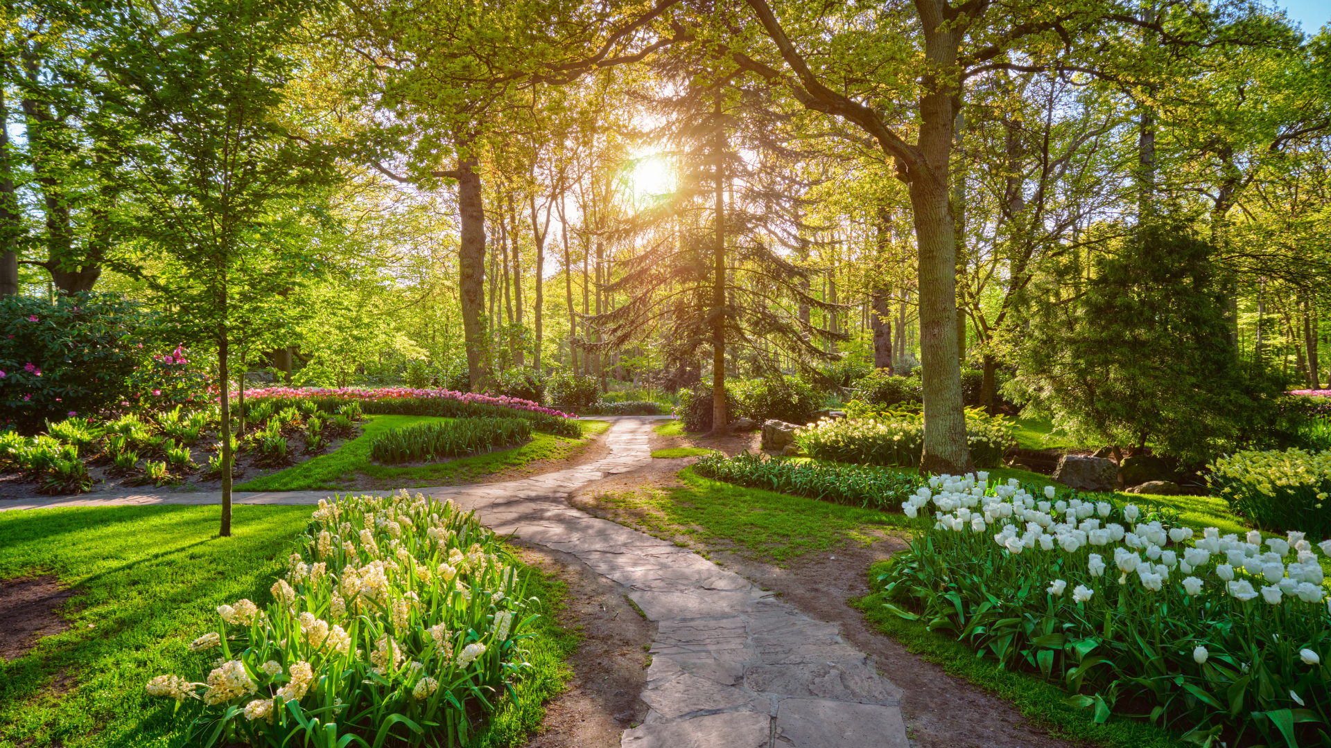 Oak and Stone Landscaping landscape gallery inspiration 8