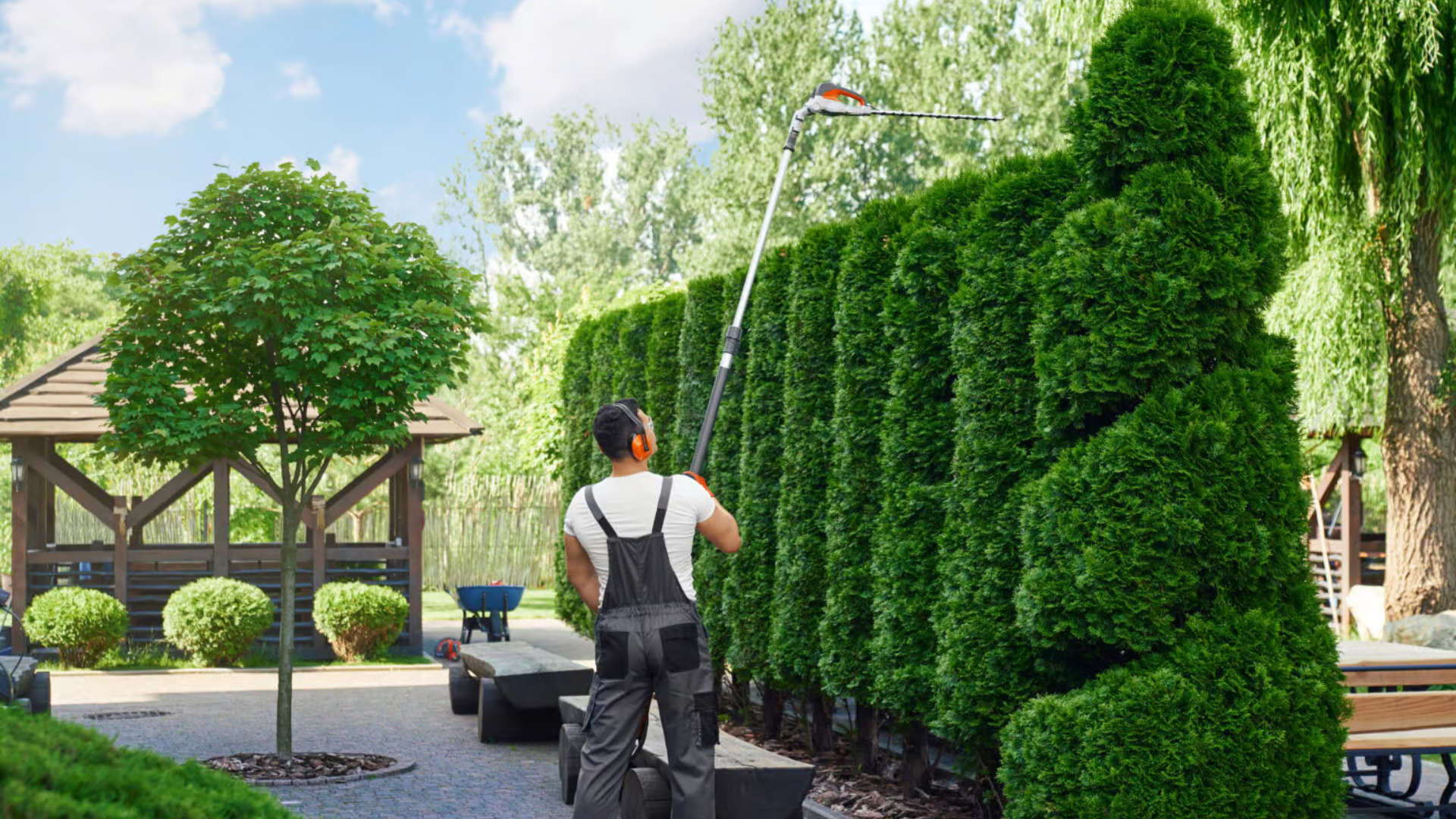 Landscaper trimming a tall hedge — tree and plant services by Oak and Stone Landscaping
