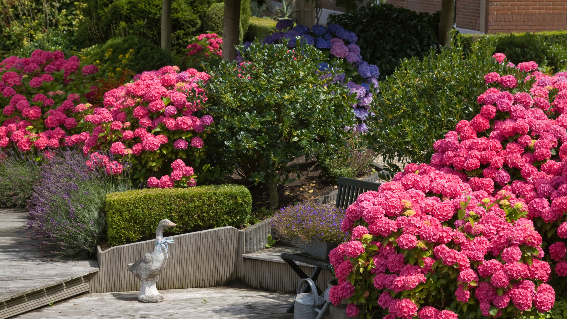 Flowering azaleas against a stone wall — Outdoor Design Inspiration Guide cover placeholder