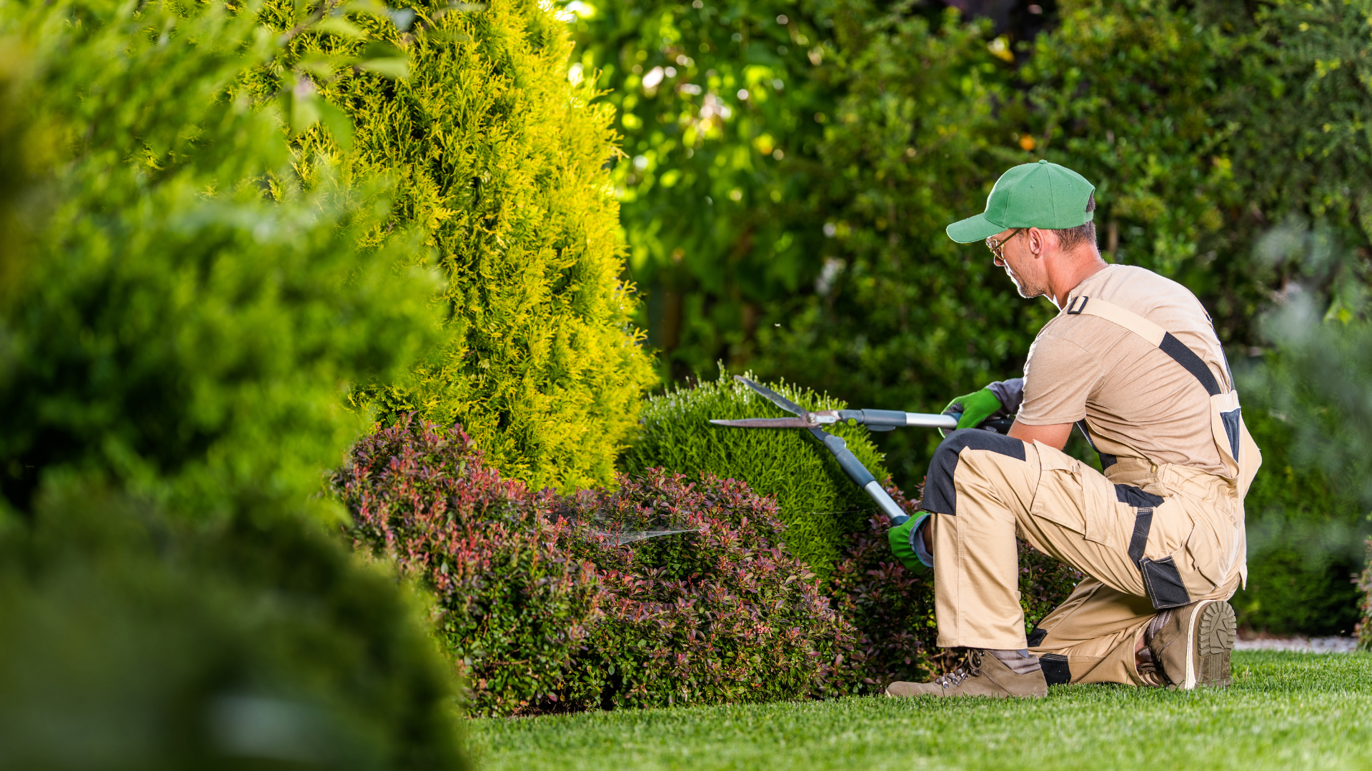 Landscaper trimming a hedge — yard evaluation placeholder image