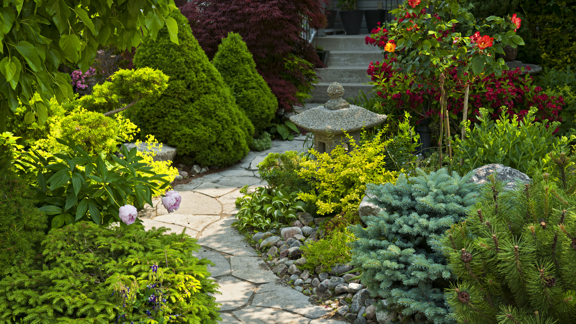 Natural stone garden path with layered evergreens and flowering shrubs — landscape by Oak and Stone Landscaping, Sacramento
