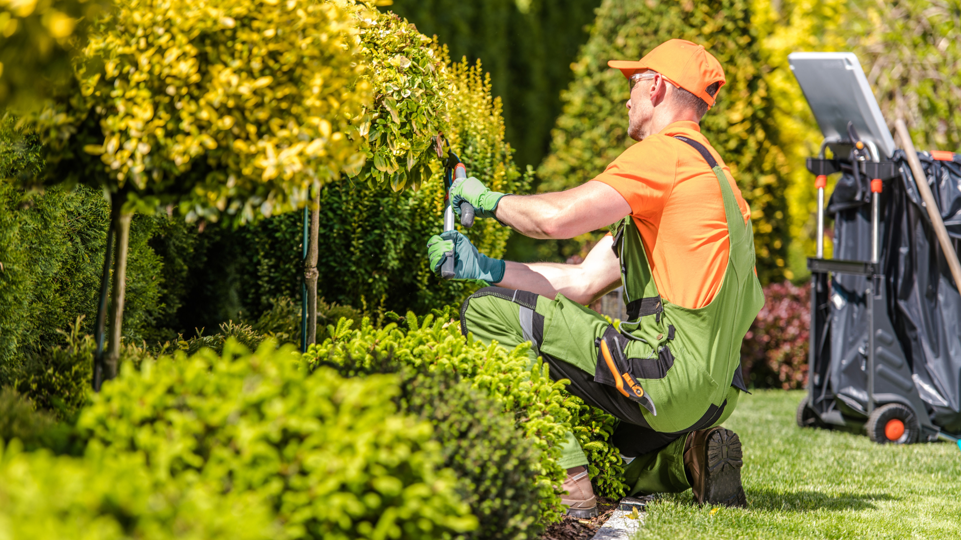 Oak and Stone Landscaping team member shaping shrubs in a Sacramento-area garden