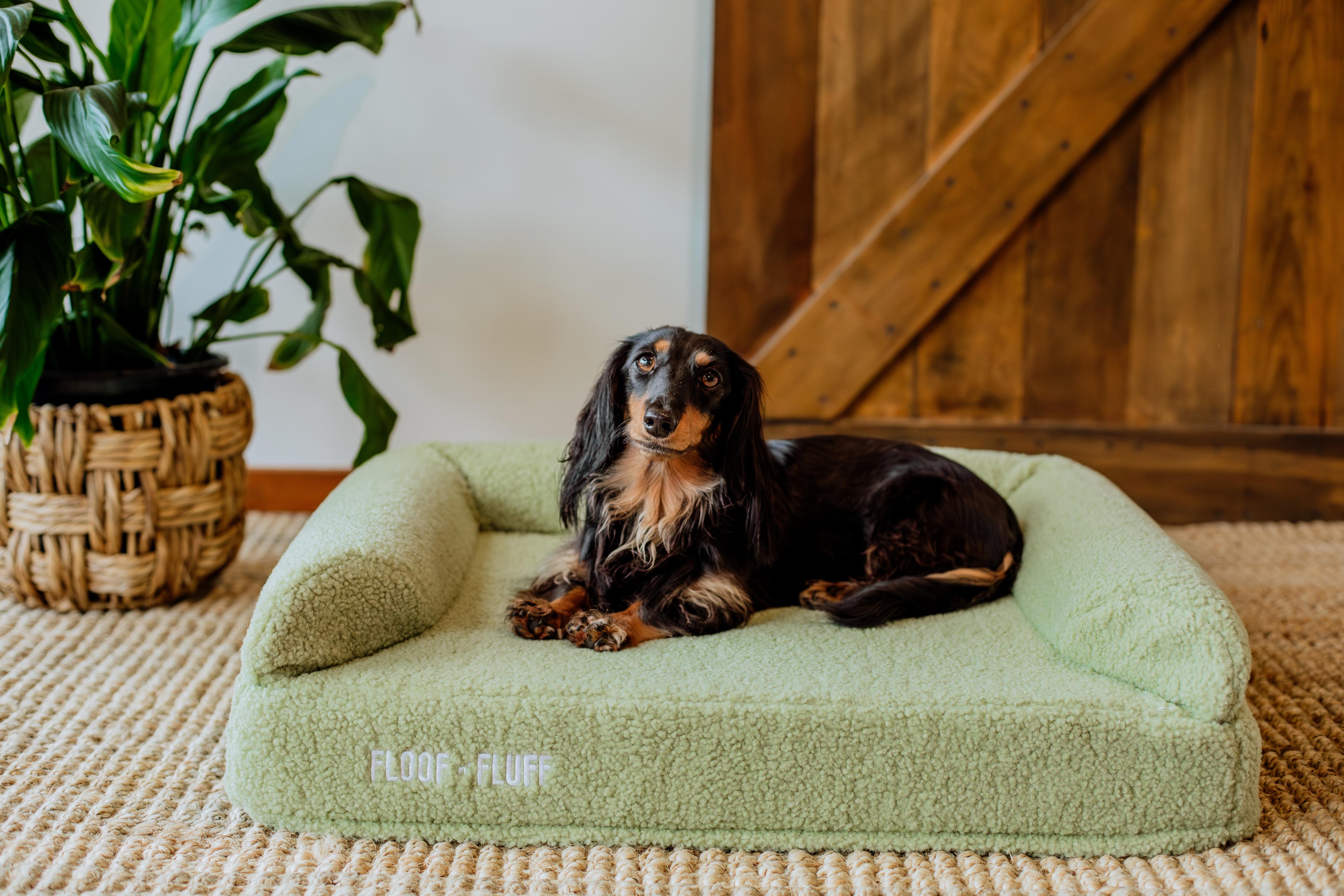 The Essentials of a Healthy Diet for Your Pet