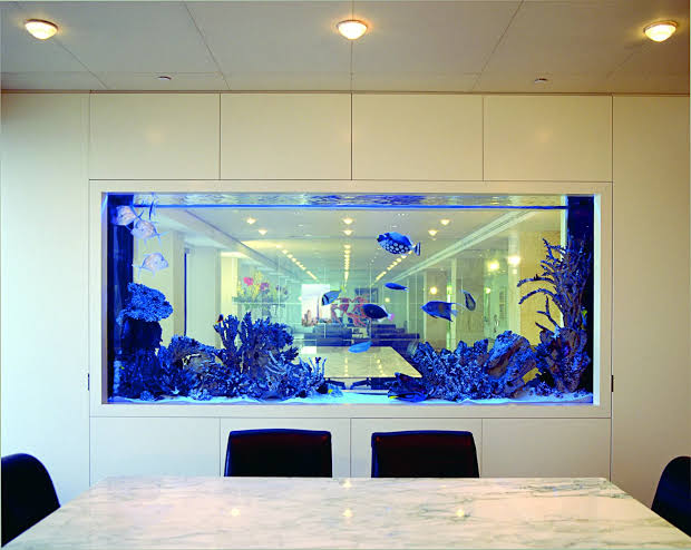 Luxury Reef Tank Hero