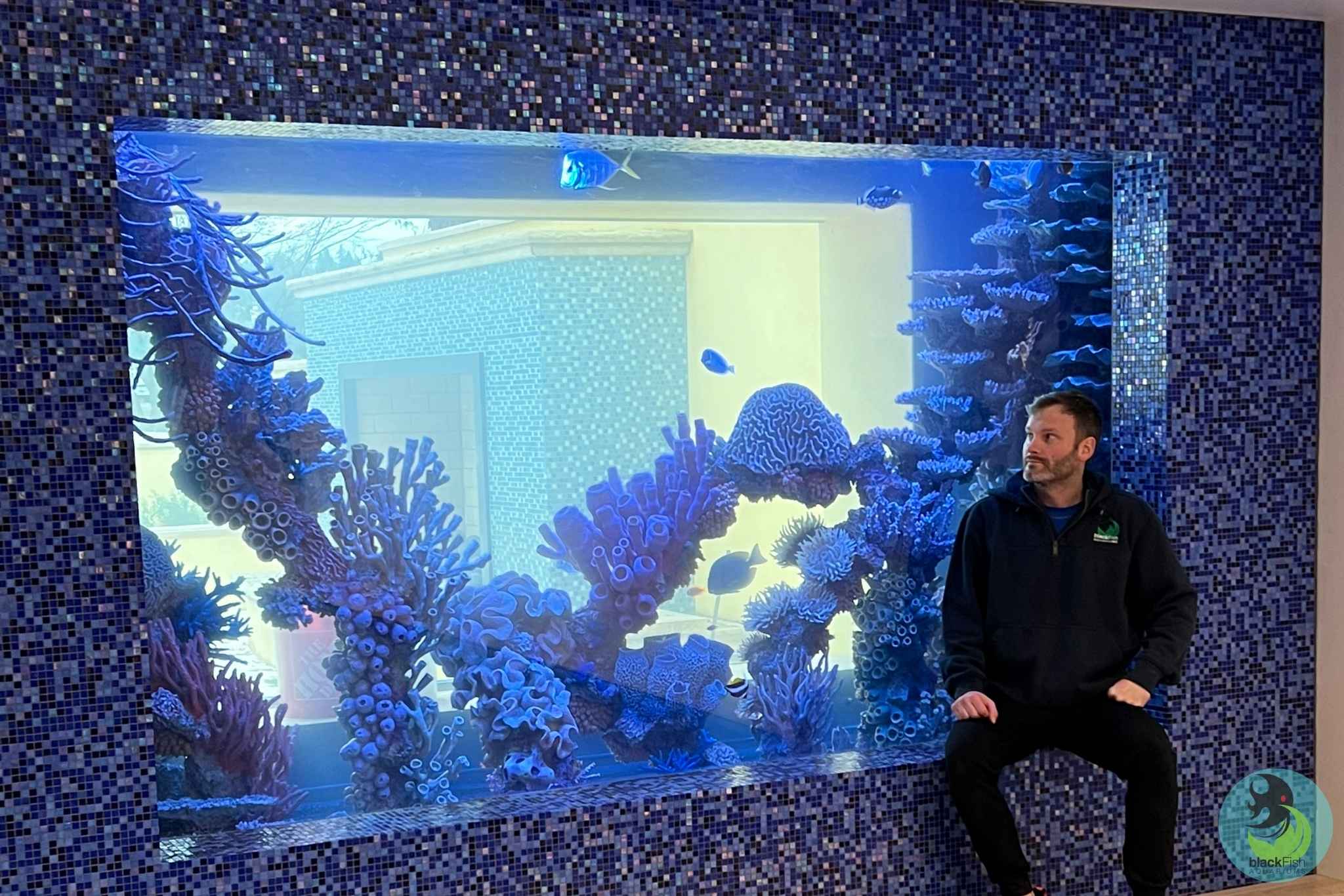 Living Coral Reef Design