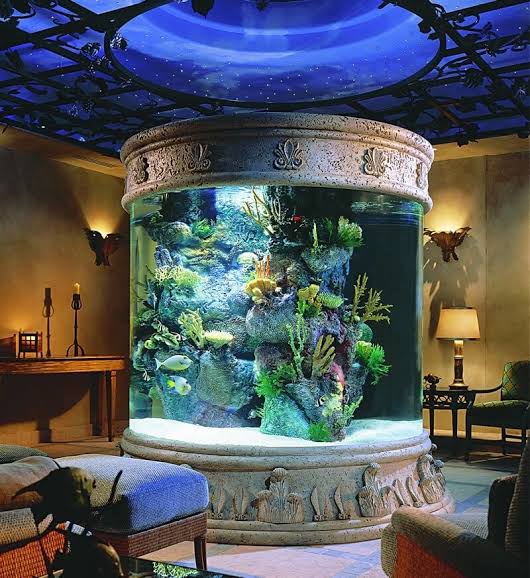 Saltwater Aquarium Services Logo