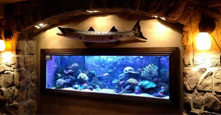 Custom Tank Design