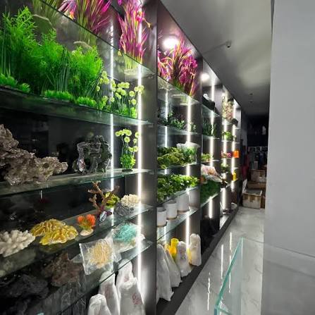 Reef Tank Showcase 12