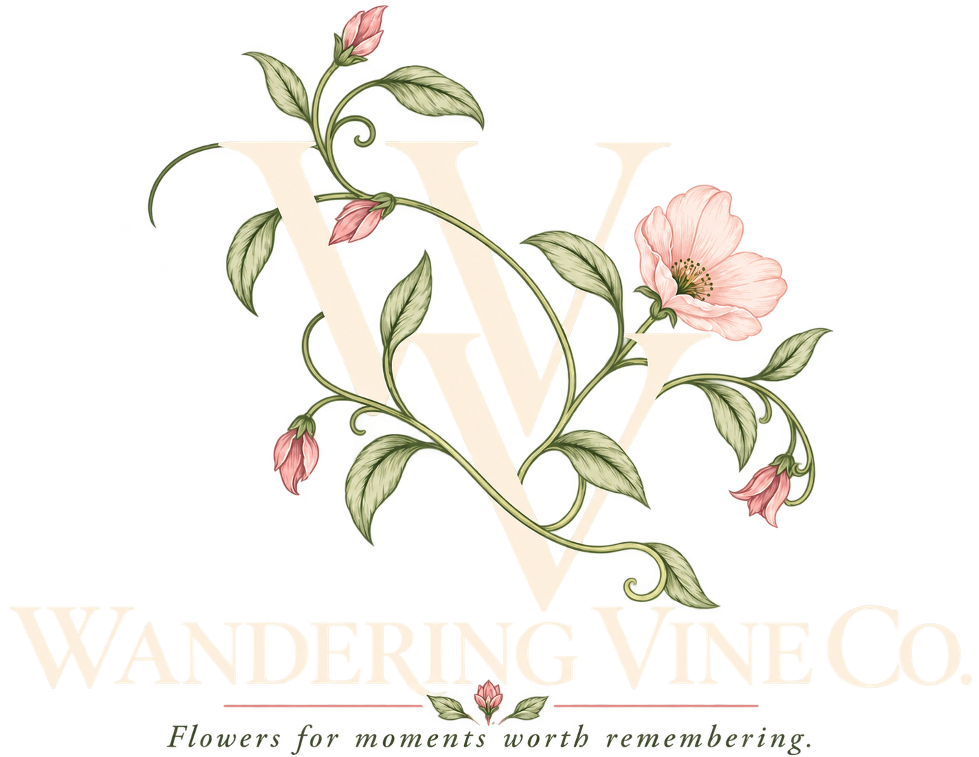 Wandering Vine Co. logo