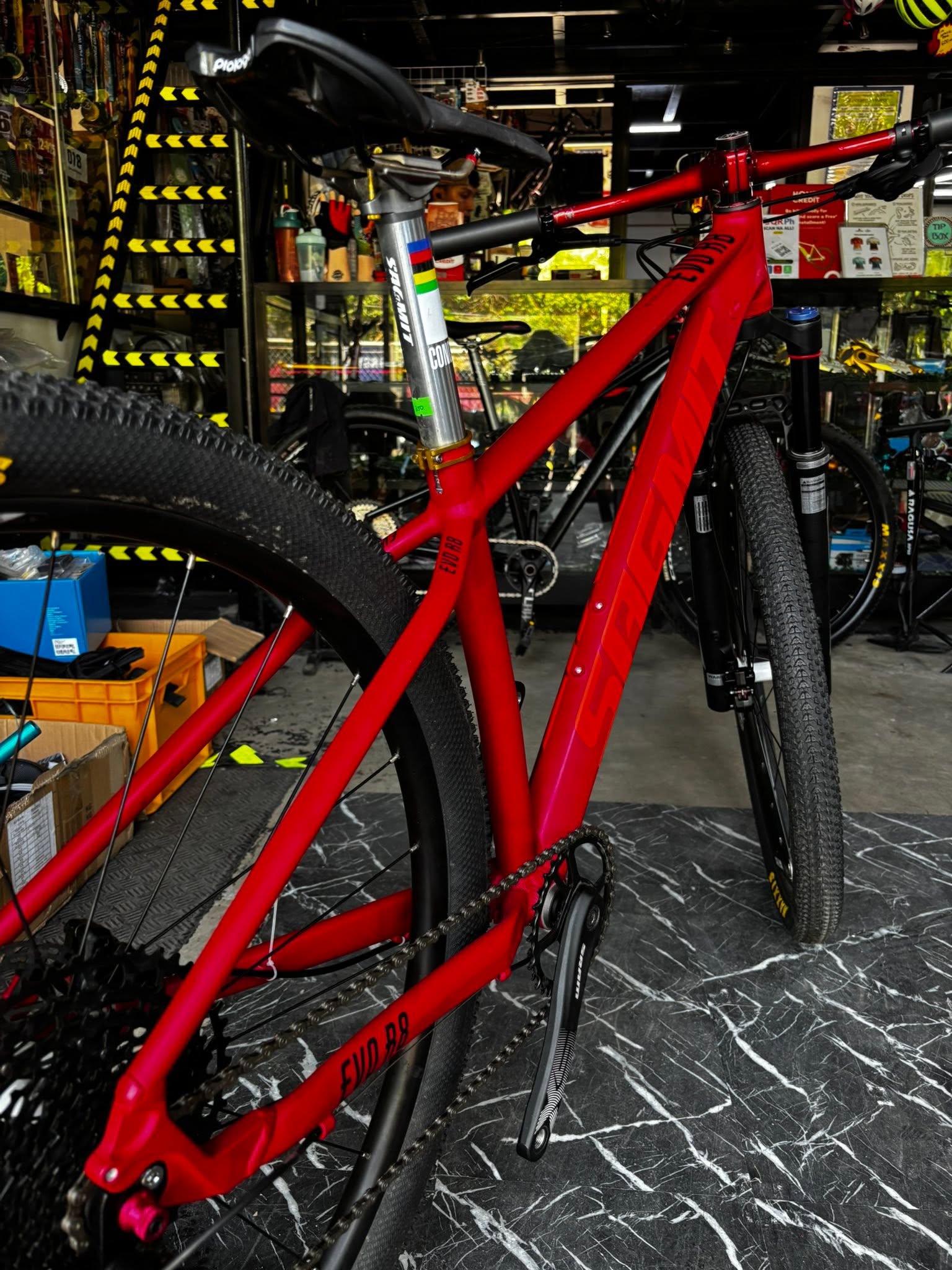 Bicol Trail &XC Hardtail Machine