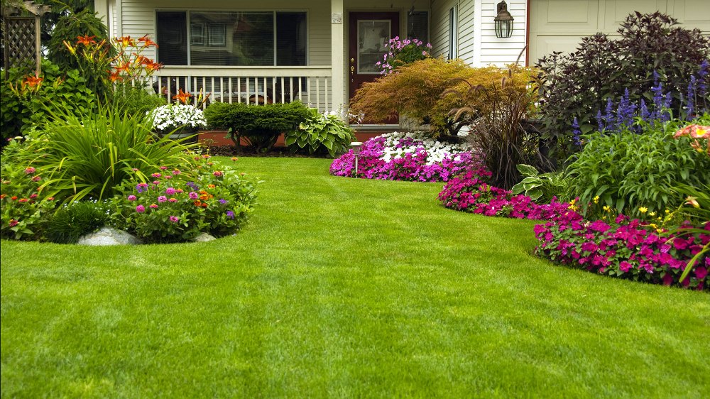 Colorado Lawnsmith landscaping project photograph 2
