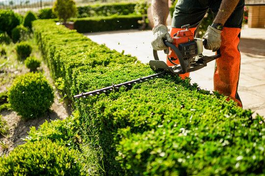 Colorado Lawnsmith landscape detail