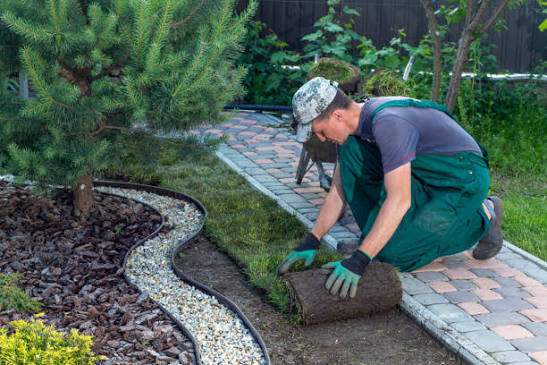Colorado Lawnsmith landscaping project photograph 6