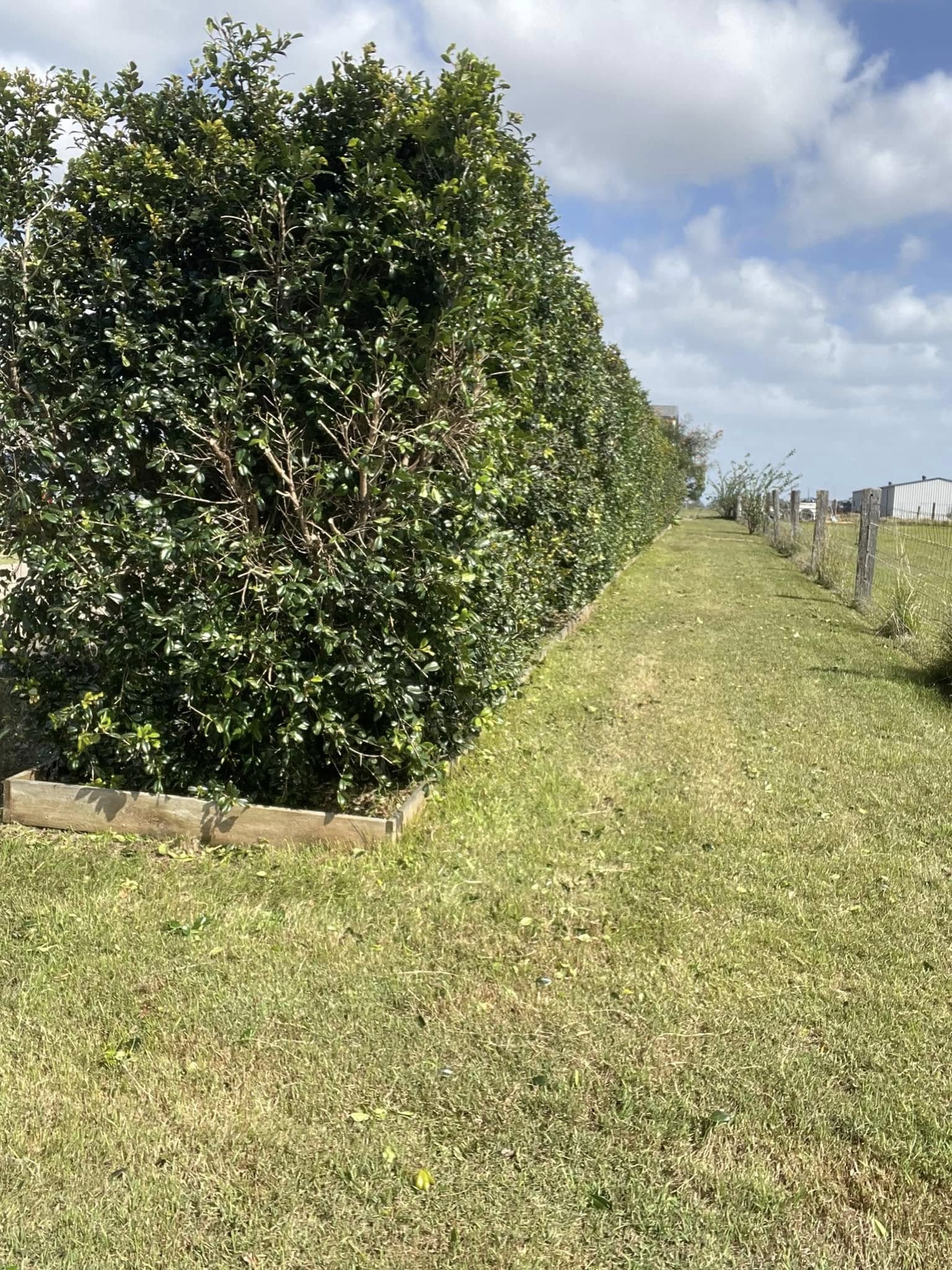 Lawn and yard work by Wide Bay Lawn and Garden Maintenance, photo 5