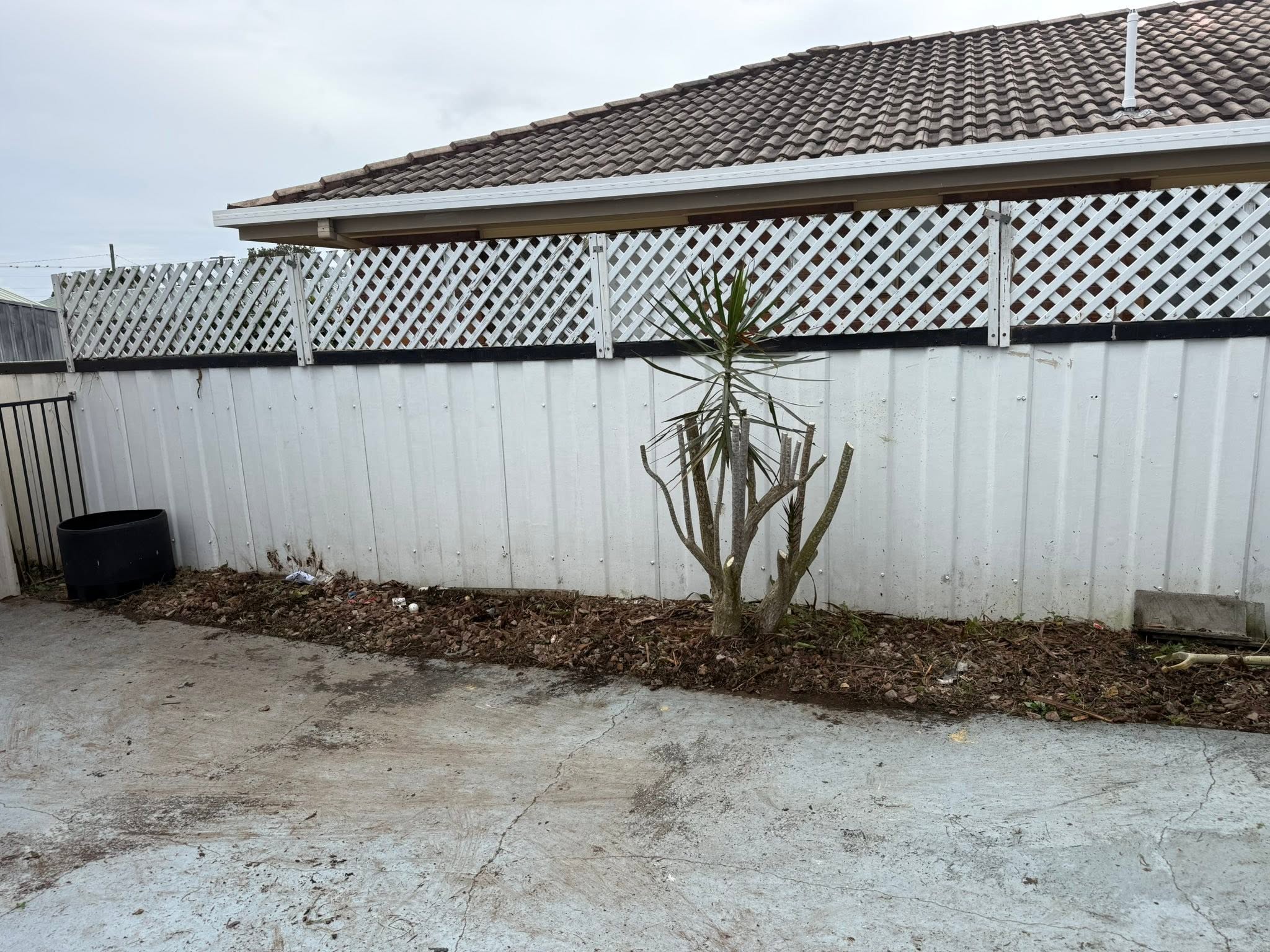 After: yard tidied by Wide Bay Lawn and Garden Maintenance (project 2)