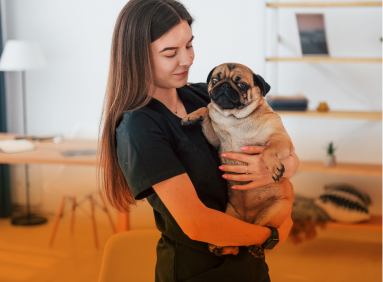 pet-care