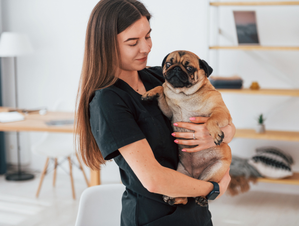 pet-care-inner