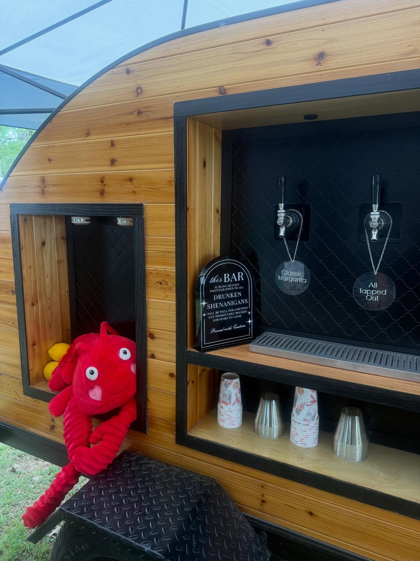 Chilled tap lines and craft beer setup