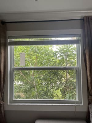 {{ custom_values.service_3 }} in {{custom_values.area_2})