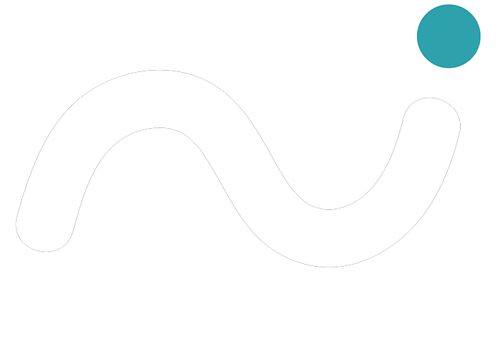 Nidus Digital Logo