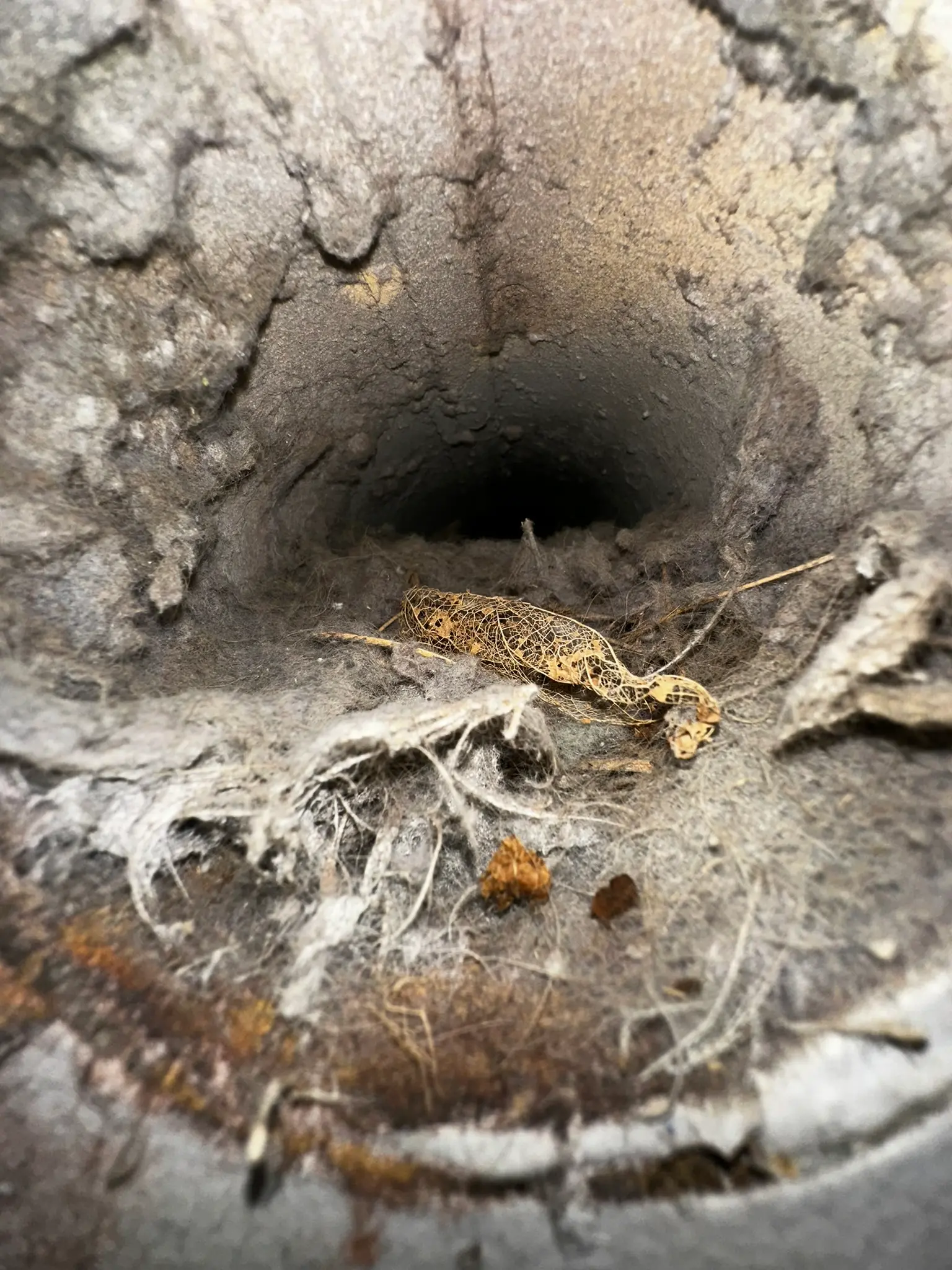 HVAC Cleaning — before