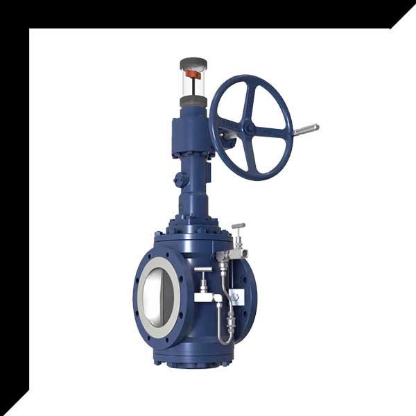 Expanding Plug Valve With DBB