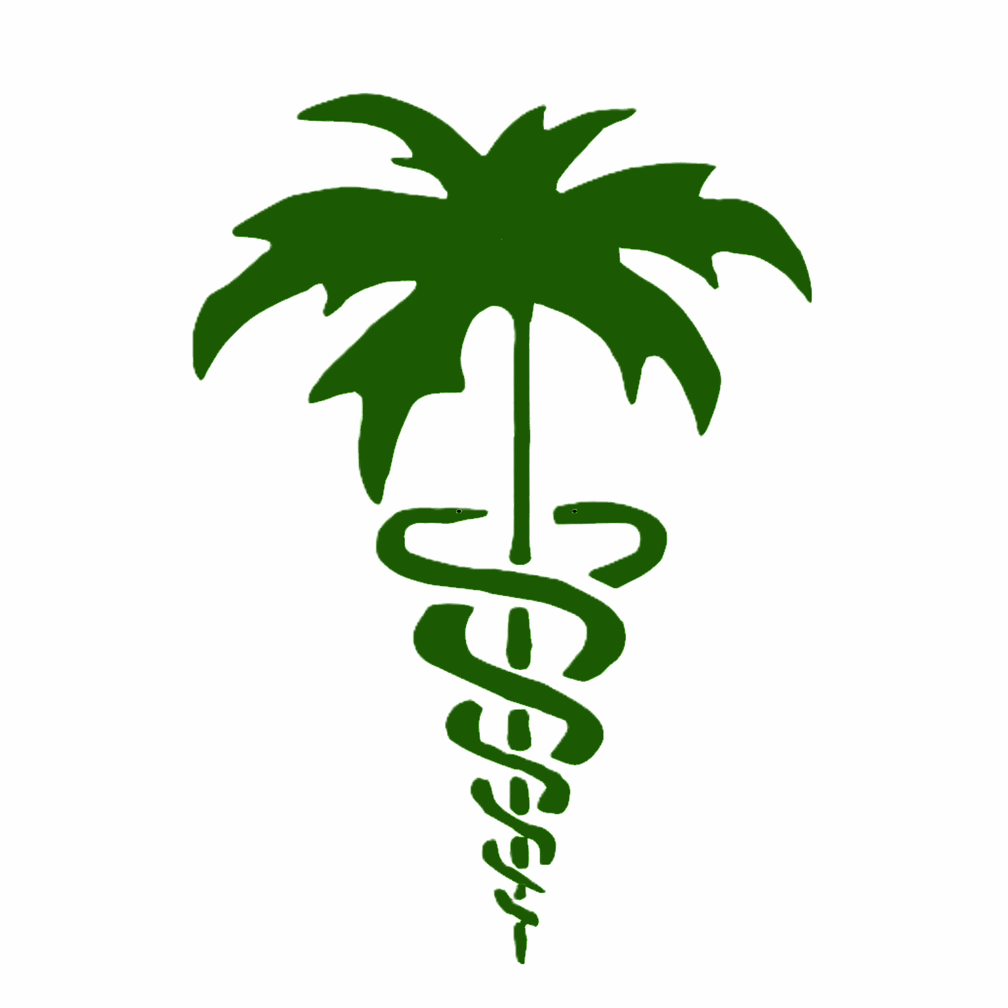 FMIS Logo