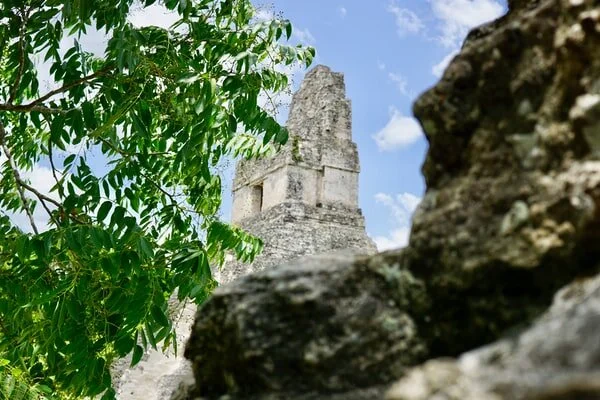 Guatemala weather on a sunny bright day showing the Mayan ancient ruins of Tikal