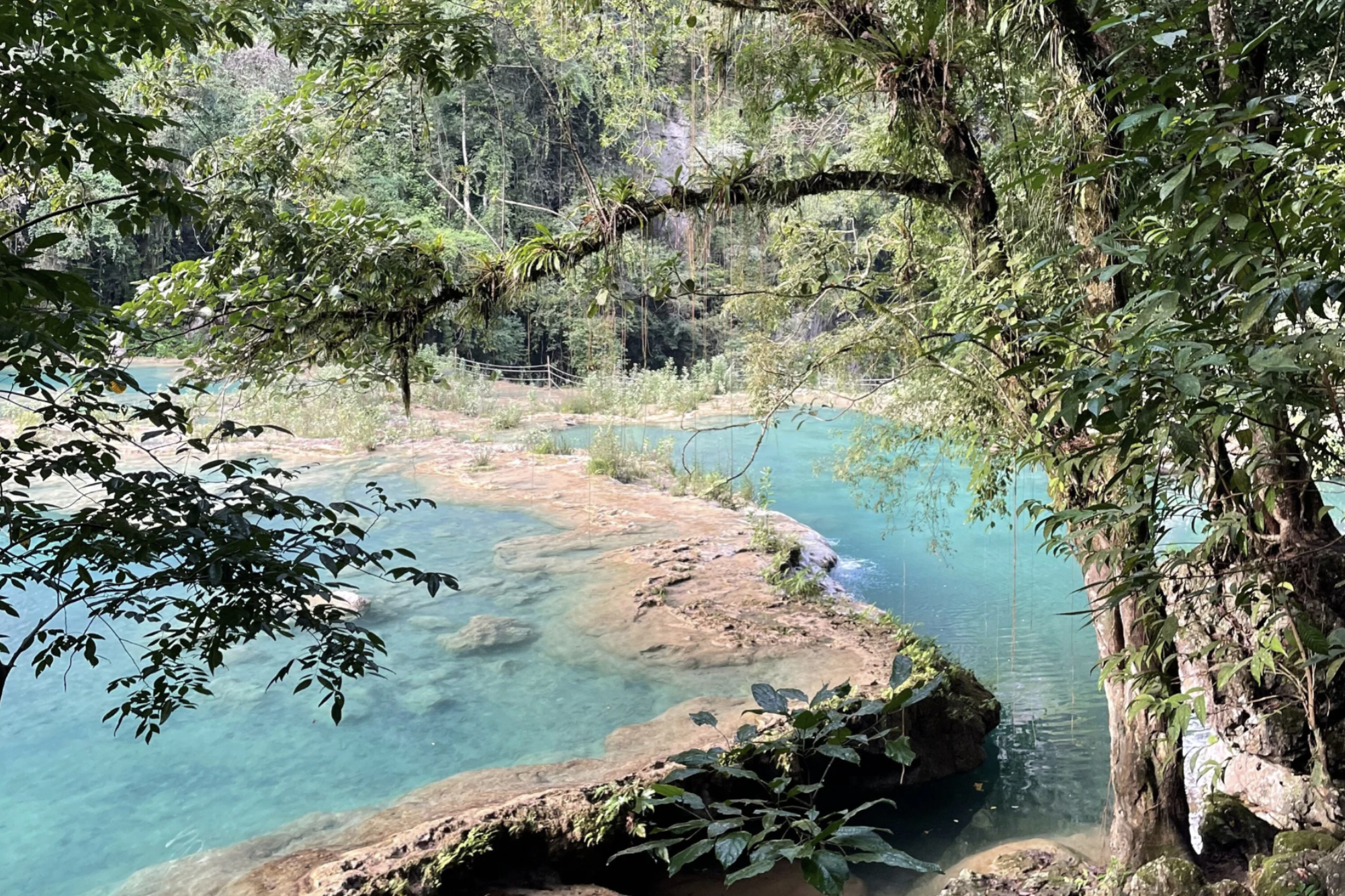 Gorgeous turquoise tide pools with lush greenery in the jungle at Semuc Champey in Guatemala.