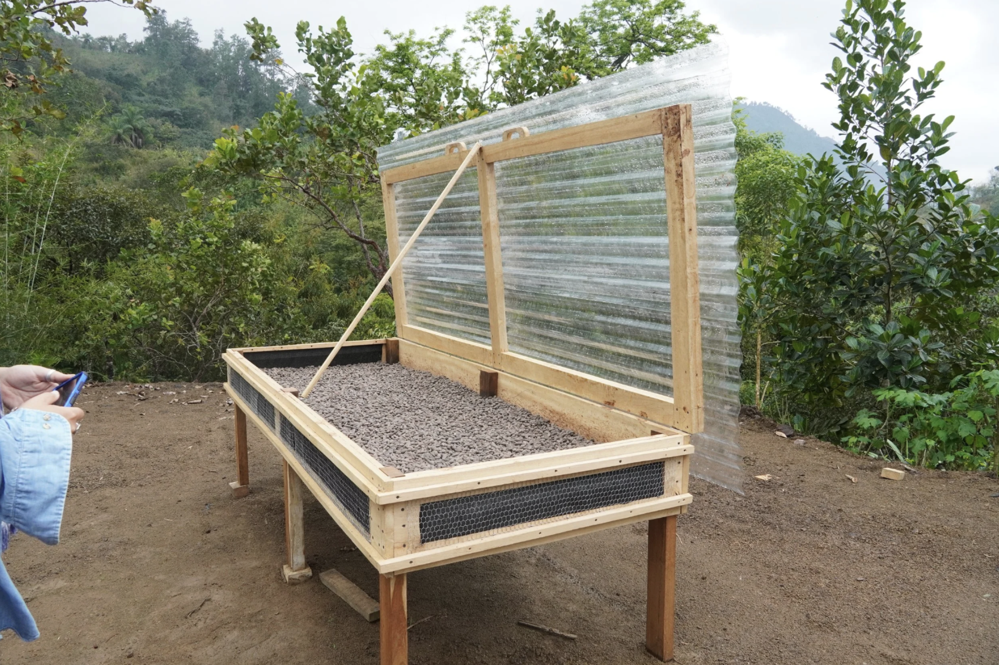A handmade cacao drying rack with dried cacao seeds during the chocolate making process from bean to bar