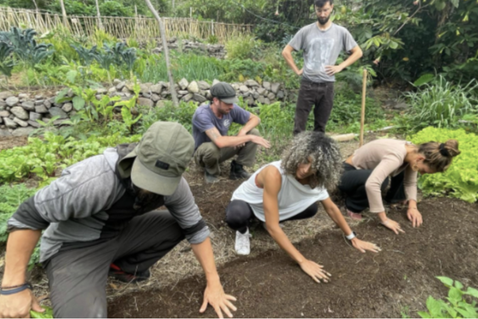 Five people are working together in the garden with their hands in the dirt as they build a garden for permaculture Guatemala.