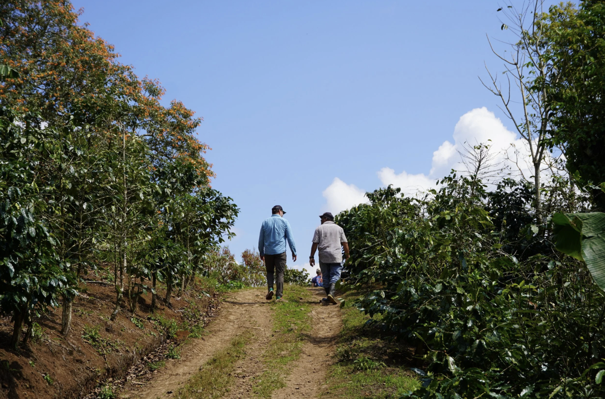 Two men are walking through a farm in Guatemala that's benefited from microfinance in Latin America