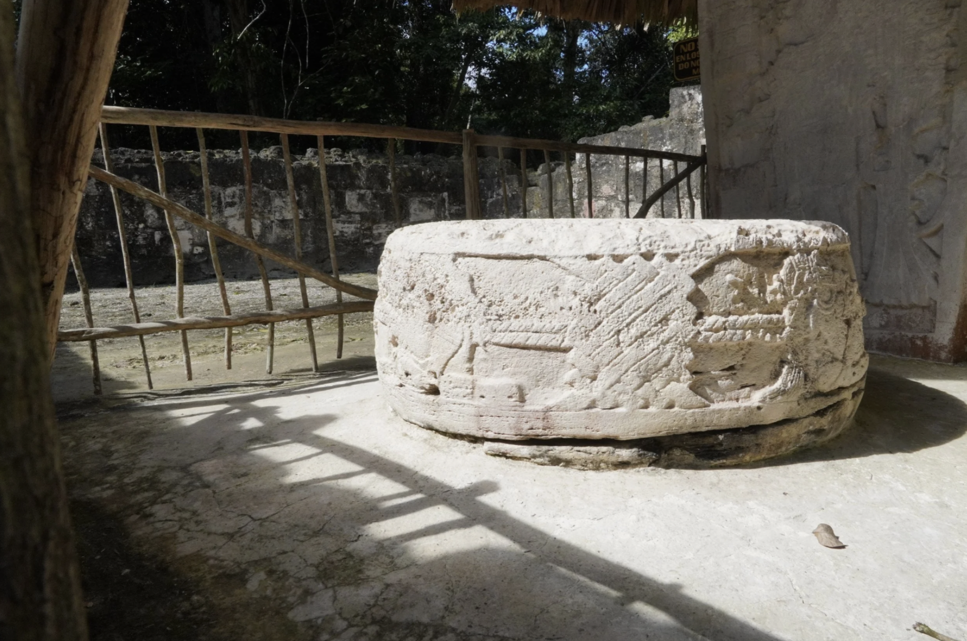 A photo of a stelea found at the ancient Mayan cosmology ruins in Tikal, Guatemala.