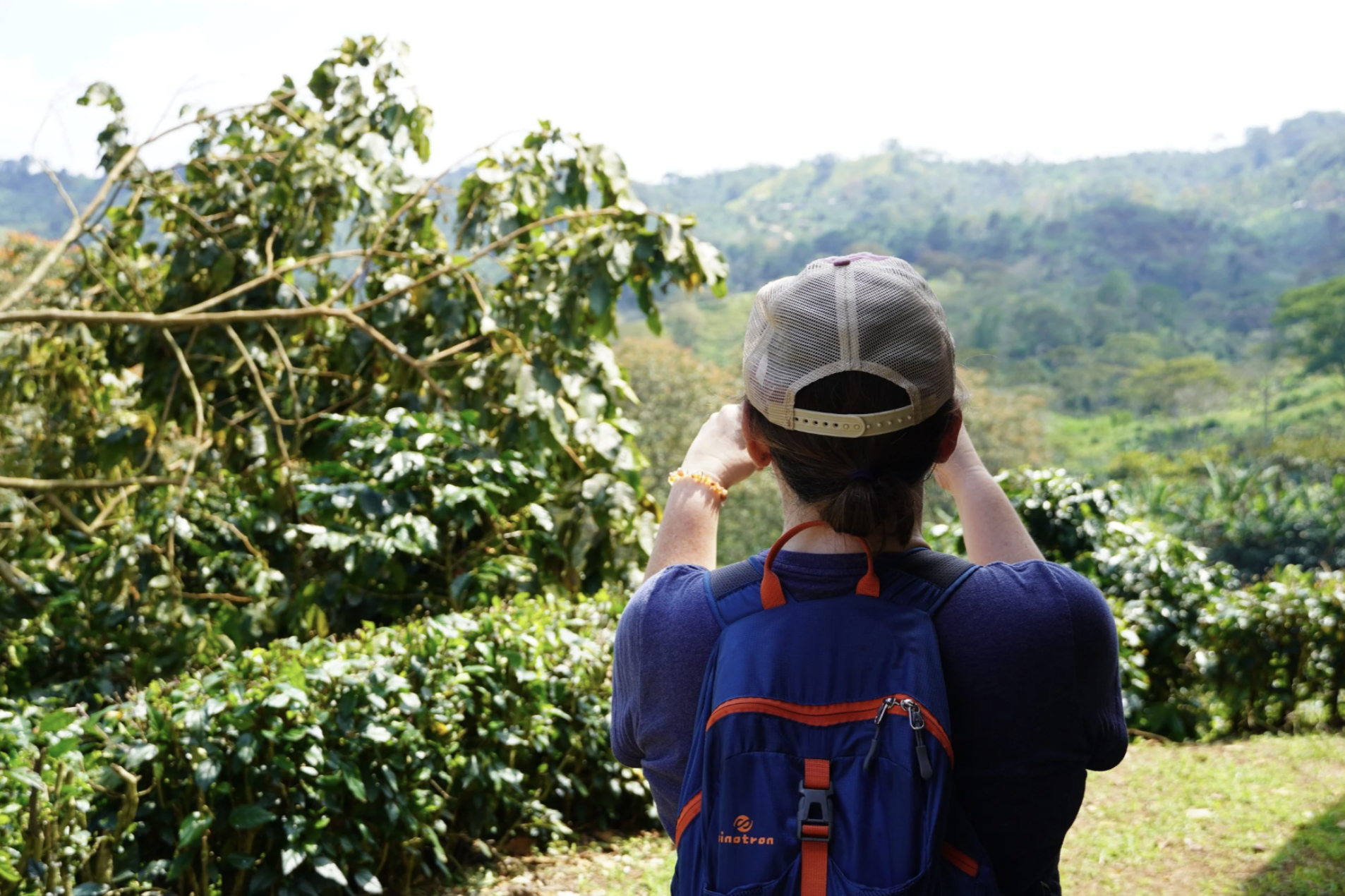 A student is taking a picture of nature while on a student tour in Central America
