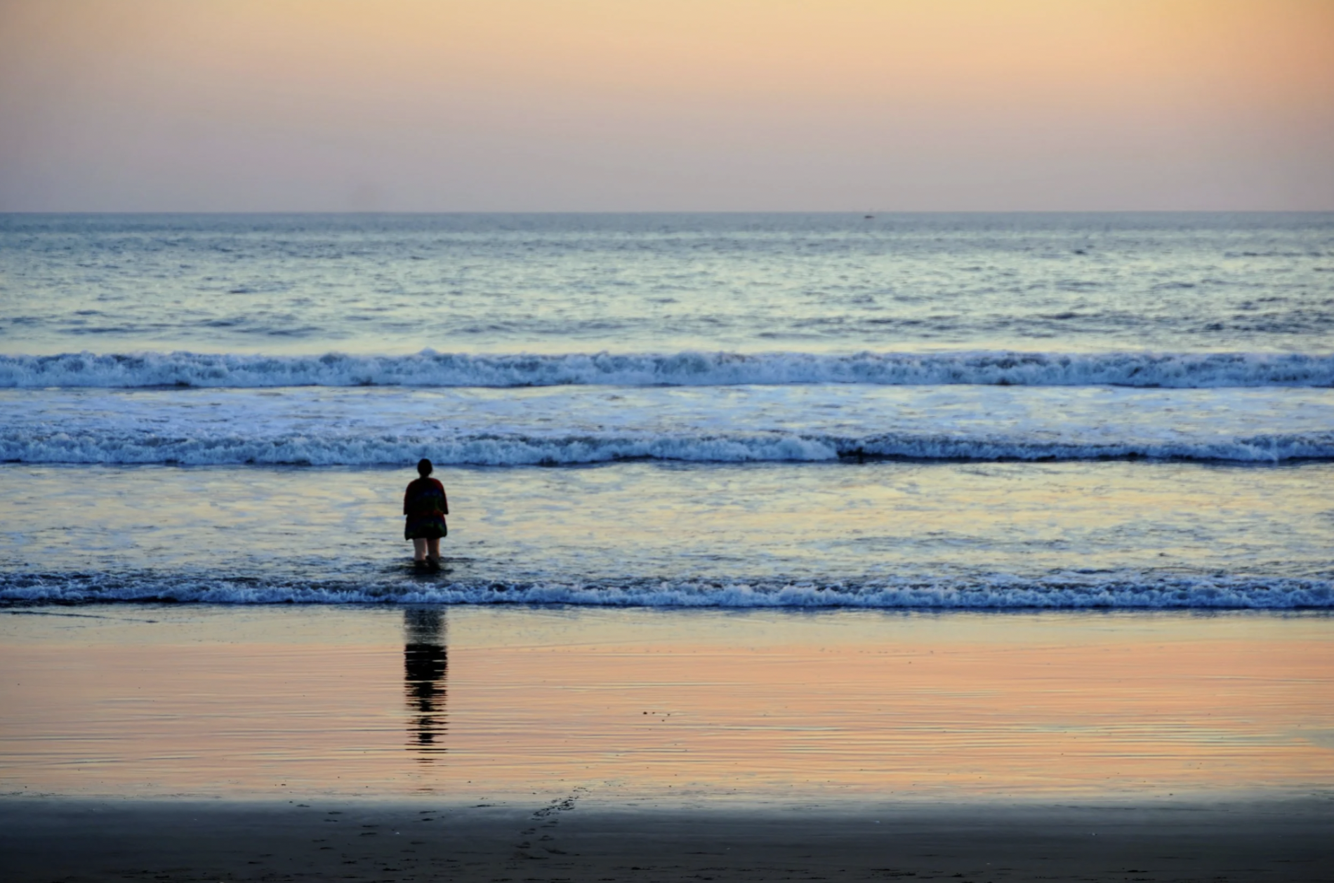 A woman stands in the ocean looking out at the horizon during international student tours with Naturally Smart Travel