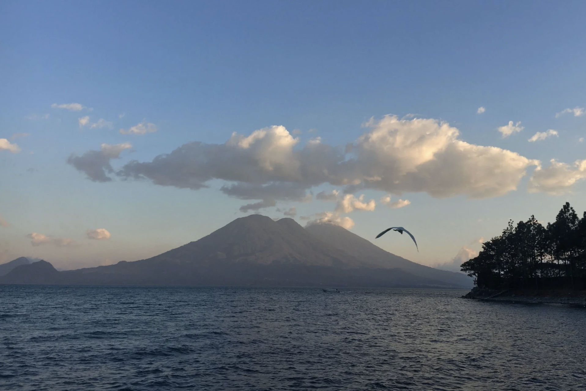 A bird is flying through the sky over a lake in Guatemala with a volcano in the backgroud, during the dry seasons of Guatemala.