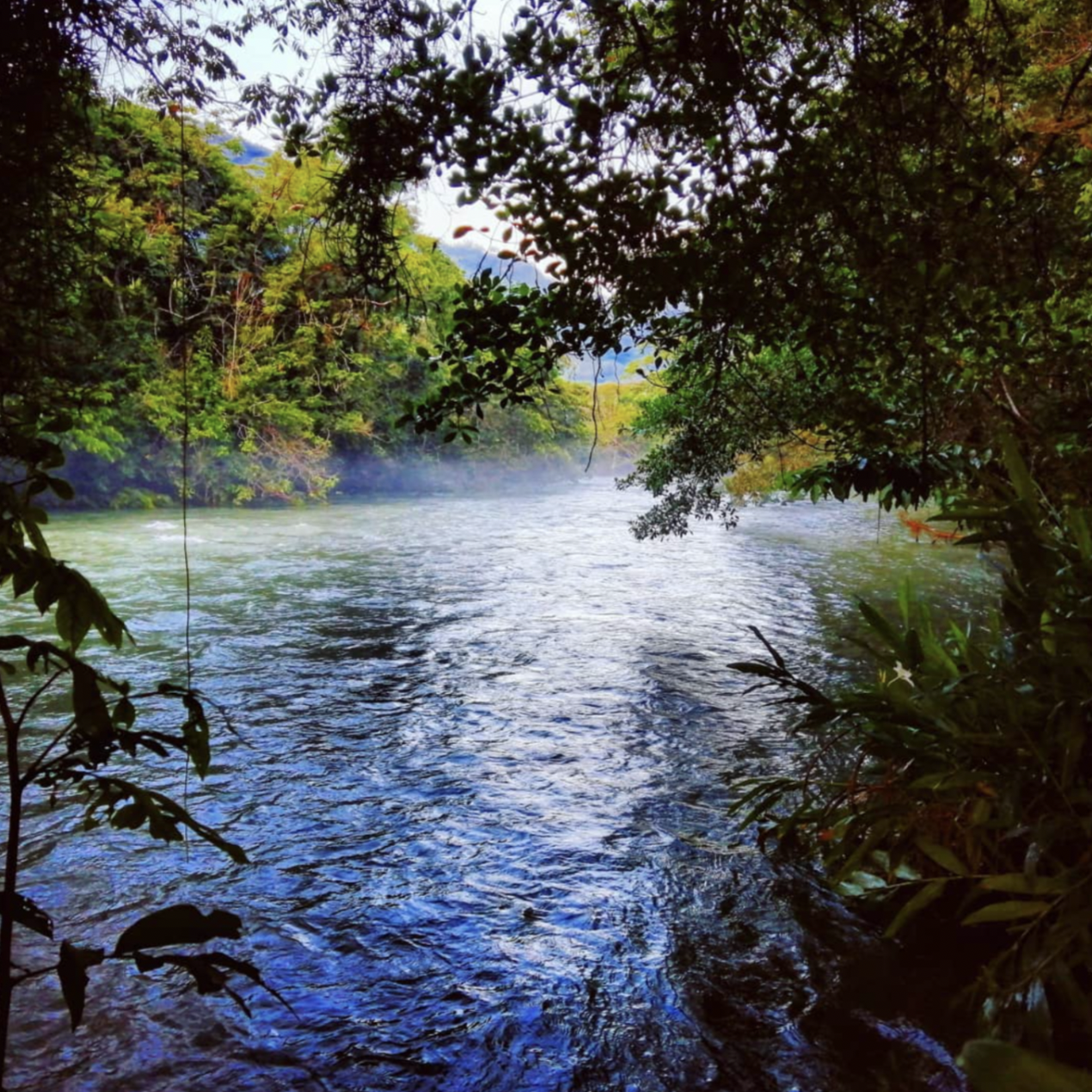 A beautiful river has a misty fog above it in the Alta Verapaz, Guatemala.