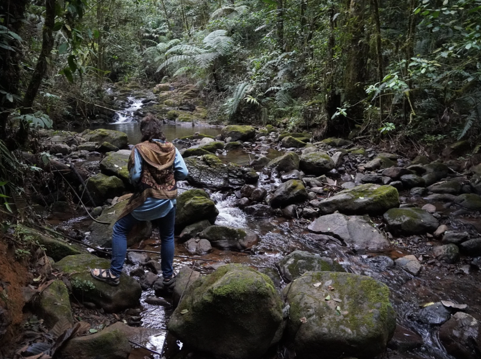 A woman hiking in the forest during the wet season with Guatemala weather