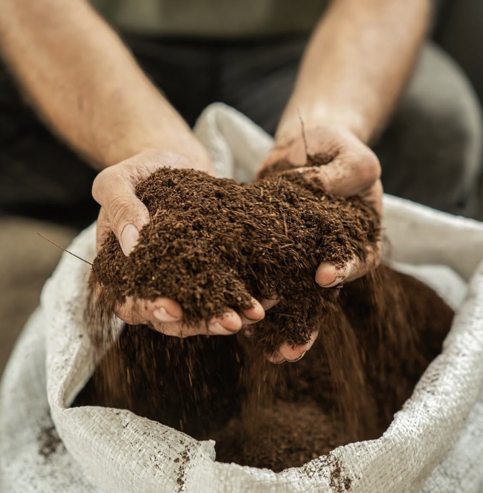 Two hands are holding gorgeous compost from Green Mama Compost in Guatemala