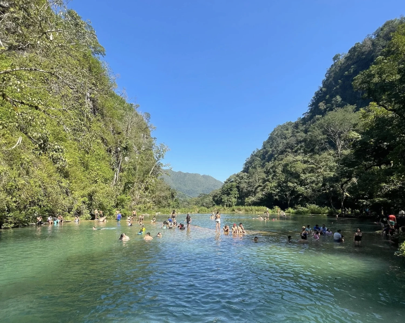 A group of people are swimming in the turquoise river waters and pools of Semuc Champey