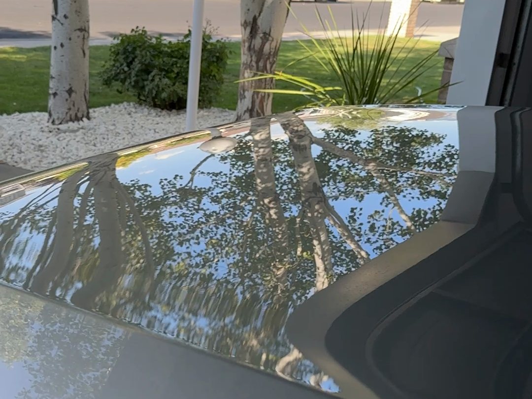 Trees reflected in coated silver paint
