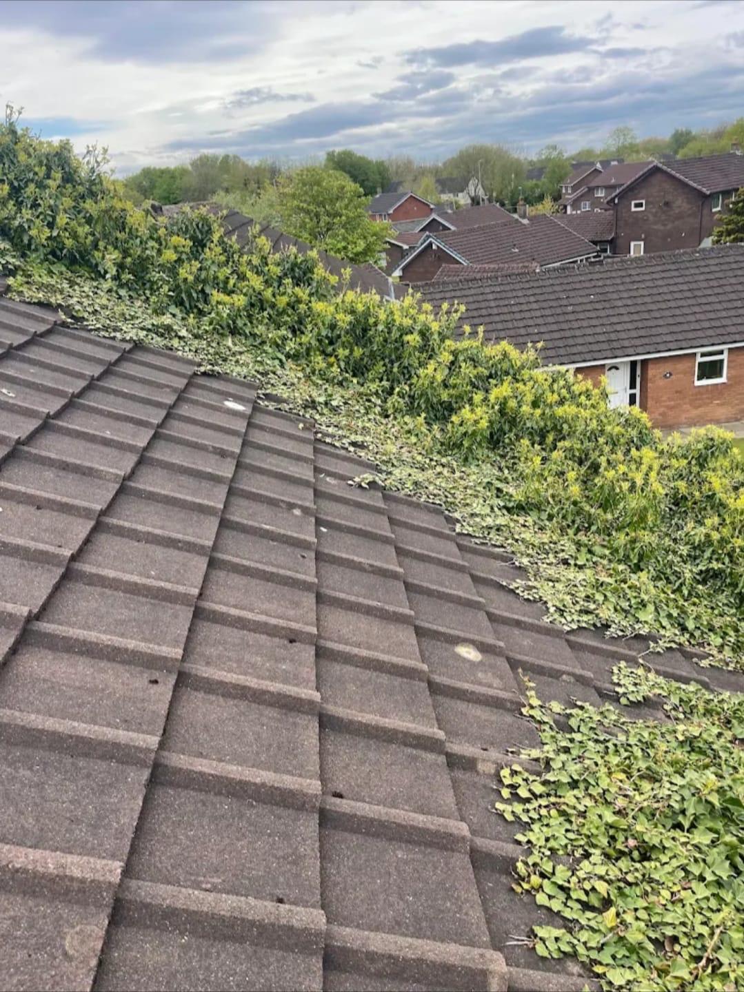 Recent roofing project by FLG Roofing & Building in North Wales 6