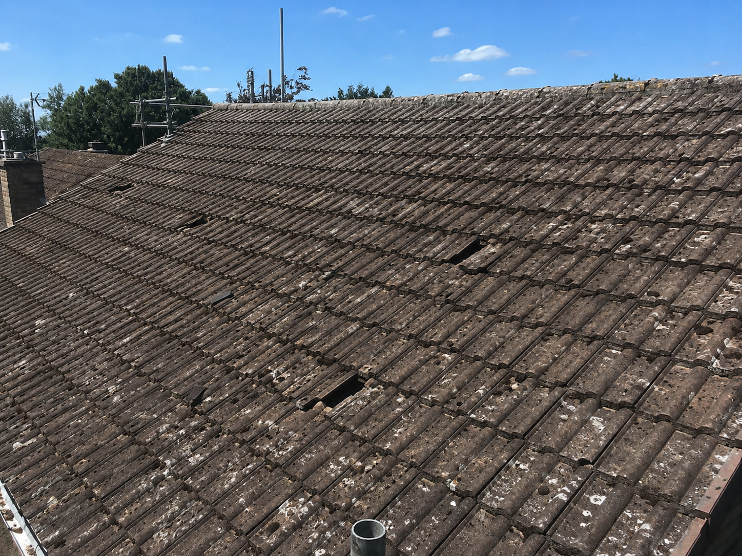 Flat Roof Replacement — before