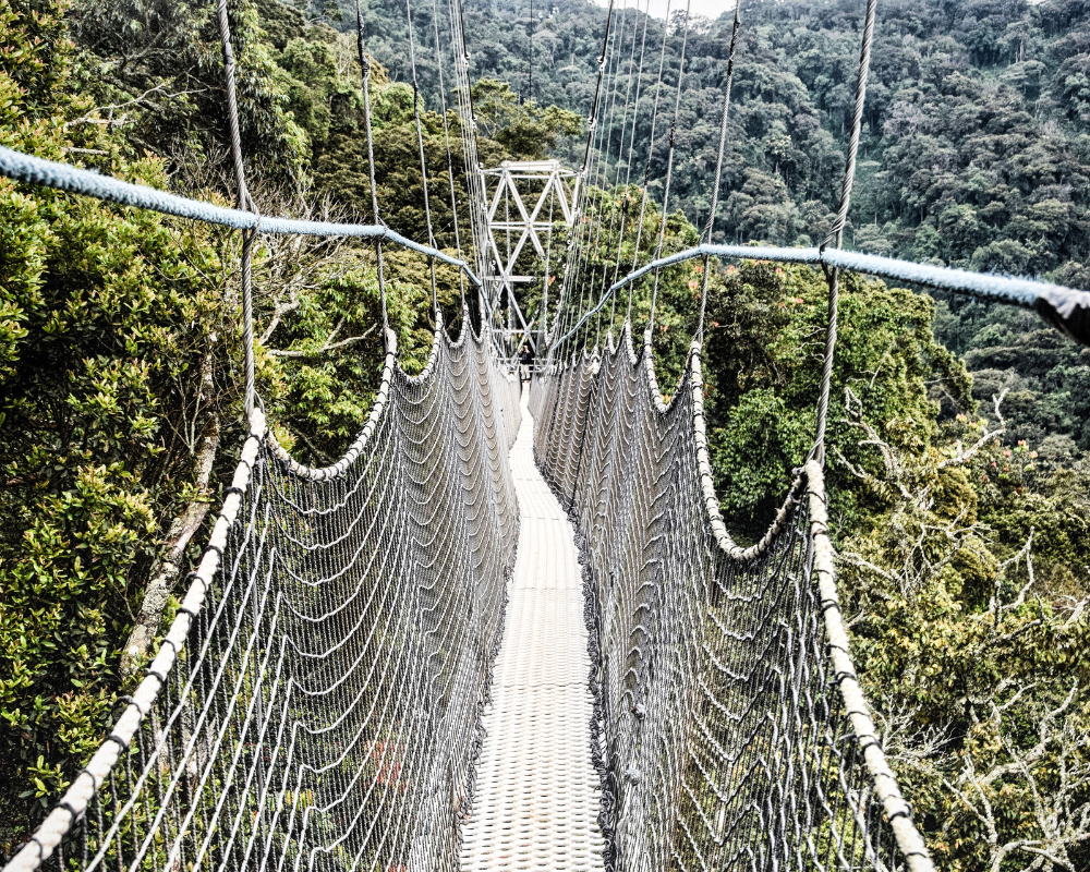 12 Days — Uganda & Rwanda