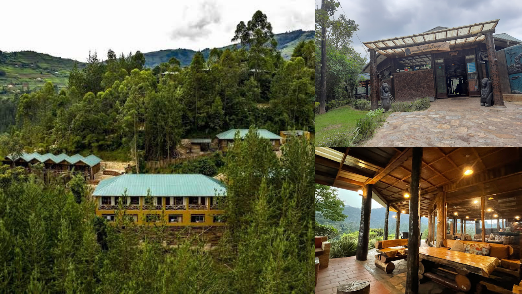3 Days Flying Safari to Bwindi
