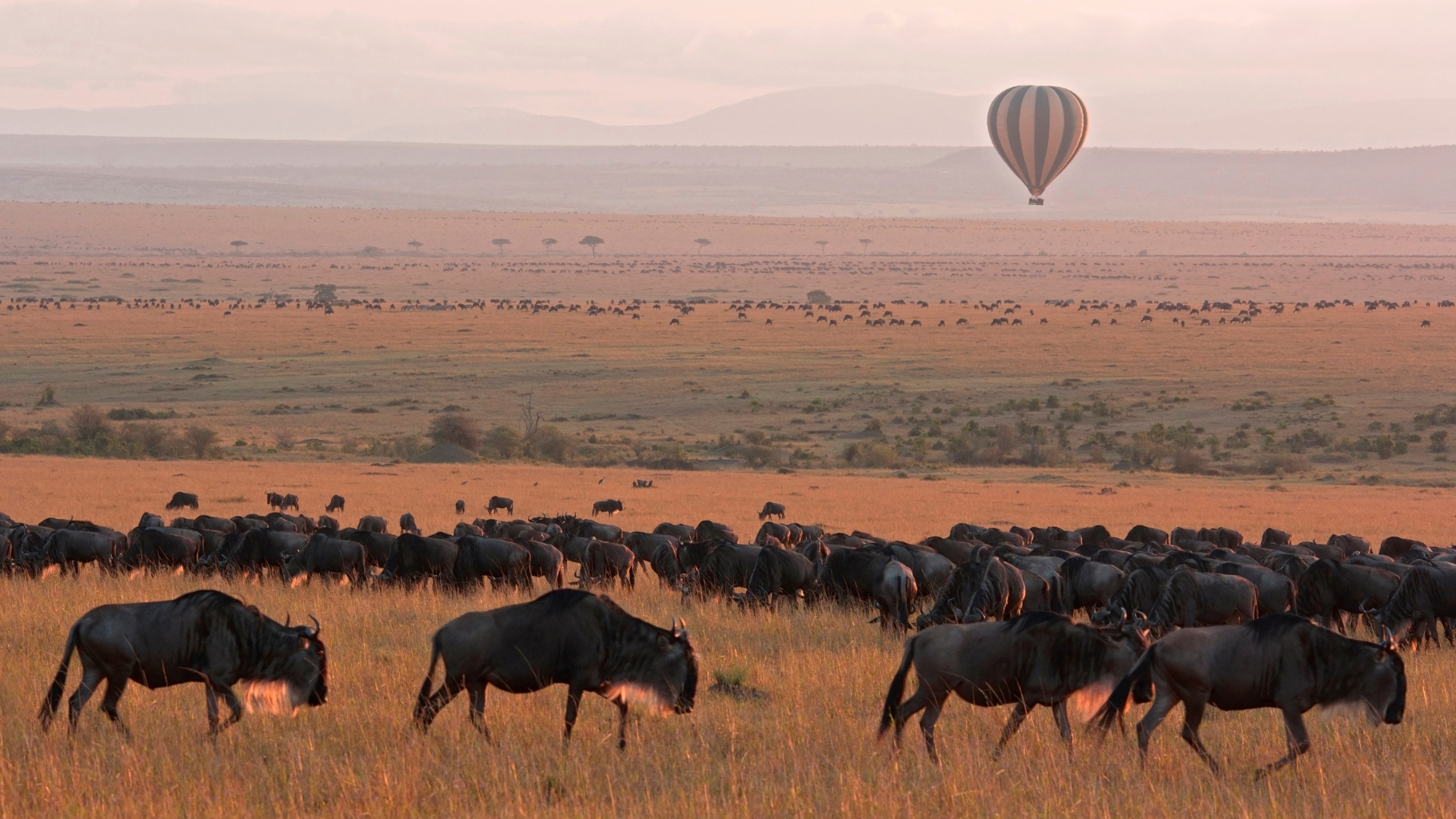 5 Days Serengeti Flying Safari