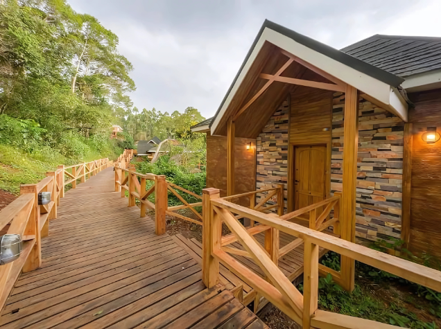 Chimpundu Lodge, Kibale Forest, Uganda