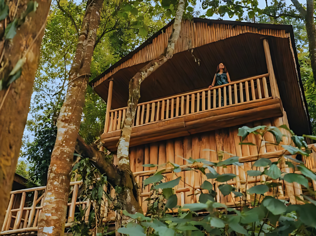 Buhoma Lodge, Bwindi Impenetrable Forest, Uganda